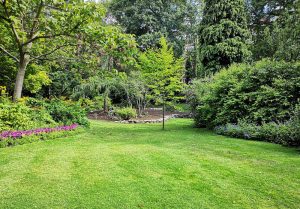 Optimiser l'expérience du jardin à Chanzeaux